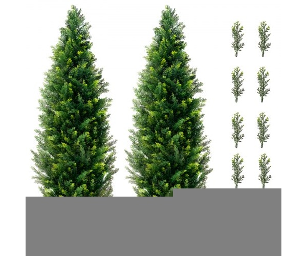 XSRGXJS48YCA5XA8BV0 2