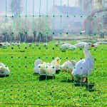 XXJQWLW48IN14SC1BV9 gallery 6