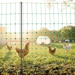 XXJQWLW48IN1GP4NKV9 gallery 6