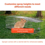 YBL24YC00000S2BGEV0 gallery 6