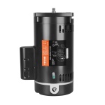 YCBDJ15HP56YPZUCCV9 gallery 8