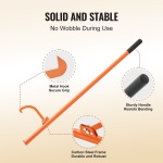 YMQJDPTCANTHLFVANV0 gallery 3