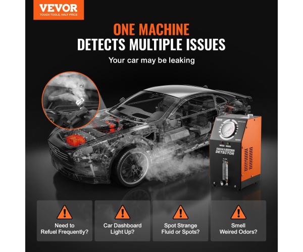 YWCLYLSDQBDLBUG6MV9 gallery 0