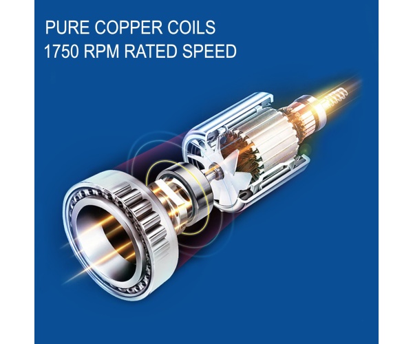 ZLDJ123ZYT12 1001V0 gallery 0 1