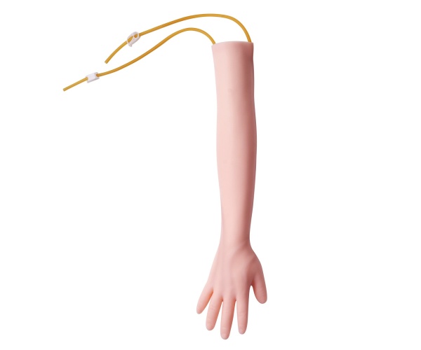 ZSCXLXTJDP1ZWUNO5V0 gallery 8