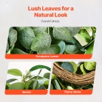 ZSHHASYL26IN8WZI3V0 gallery 2