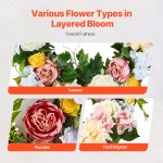 ZSHHXQHHCH24ZKJWVV0 gallery 2