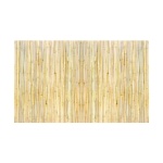 ZWLYZ8FT4FT1HUTN8V0 gallery 7