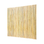 ZWLYZ8FT4FT1HUTN8V0 gallery 8