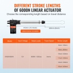 ZXXXZXQ8INCHTAMZ2V9 gallery 1