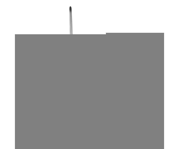 ZYGLQWBXG38LJ9OHQV2 gallery 9 1