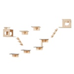 ZYSBGSMPJSM9VIGU9V0 gallery 9