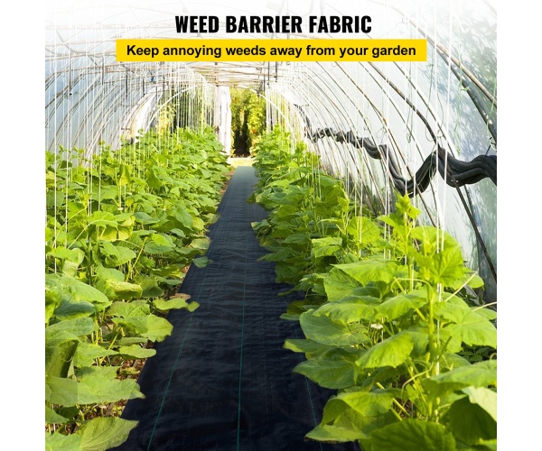 ZZZP6X300YCFCB001V0 gallery 0