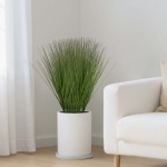 BDPYCC27INCHKIB2V001V0 gallery 6