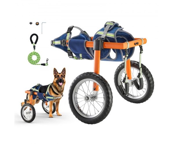 CWLYLLSTDHXL2W9B4001V0 2