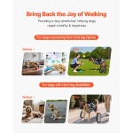 CWLYLLSTDHXL2W9B4001V0 gallery 0 2