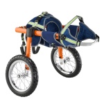 CWLYLLSTDHXL2W9B4001V0 gallery 7 1