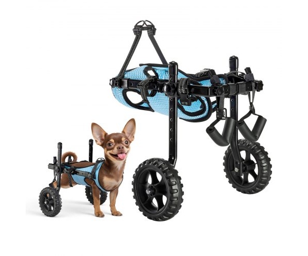 CWLYLLSTXHXSMLDHY001V0