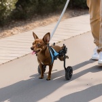 CWLYLLSTXHXSMLDHY001V0 gallery 6