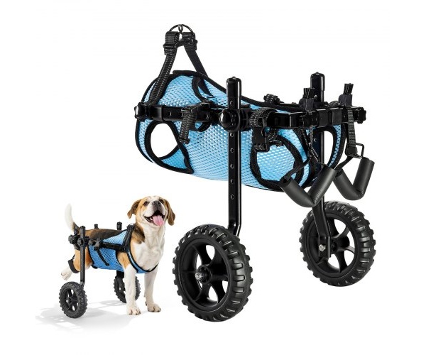 CWLYLLSXHSLLCWMCK001V0 1