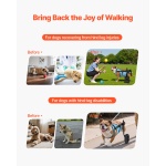 CWLYLLSZHMLLG0BX1001V0 gallery 0 1