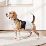 CWNBFDGG144P3H0UP001V0 gallery 6