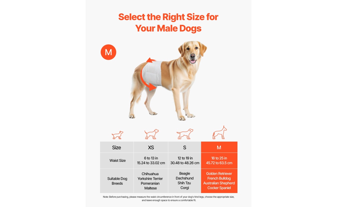 CWNBFDGG96PMPUZWY001V0 gallery 0