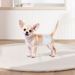 CWNBFDGG96PXSWPWY001V0 gallery 6