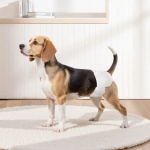 CWNBZNKMG1448BU4R001V0 gallery 6