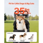 CWTCCGK4QSHD9M2U7V0 gallery 2