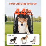 CWTCCGK4QSHSAWPRUV0 gallery 2