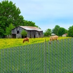 DBYSBTDBPE4FL2OHIV0 gallery 6