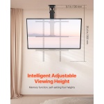 DDDSZJDDSVESHNAW9V2 gallery 0