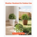 DDMJCRGXJBS12L95S001V0 gallery 1 2