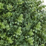 DDMJCRGXJHYMH3FA0001V0 gallery 9 1