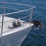 DDMJSPS700LBWVZWN001V9 gallery 6