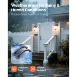 DKXZLMBS65INGIQ1H001V0 gallery 1