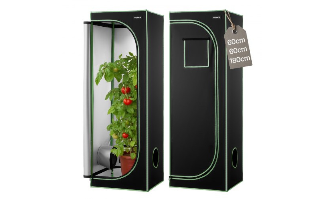 DLZPDLZP60602D5CS001V0