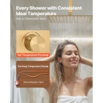 DPCPHSPHSTZXFIWQI002V0 gallery 1 1