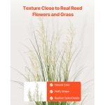 DPKLWHLS47INJTAC5001V0 gallery 1