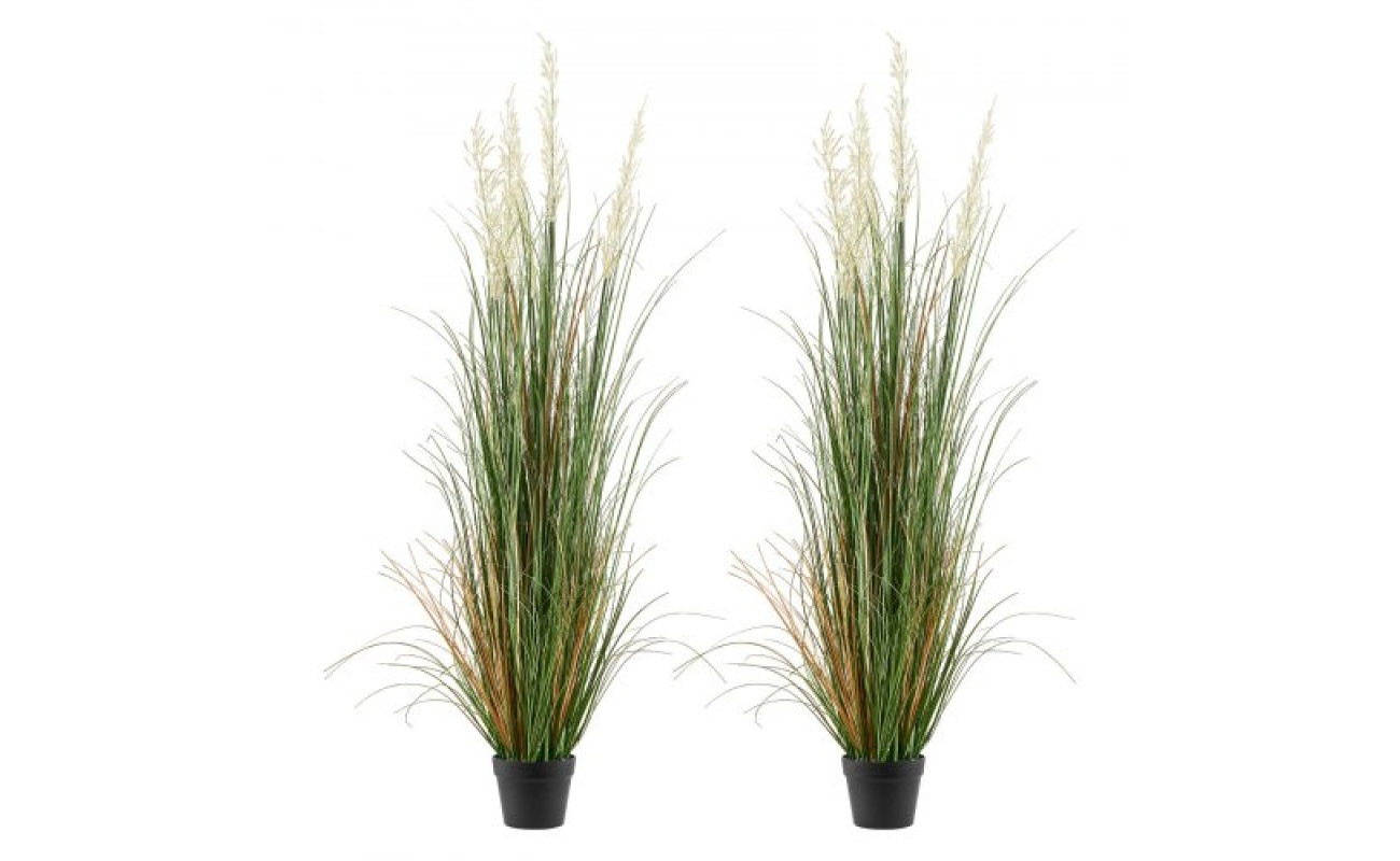 DPKLWHLS59IND2ABK001V0