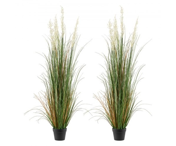 DPKLWHLS59IND2ABK001V0