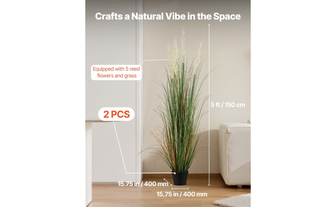 DPKLWHLS59IND2ABK001V0 gallery 0