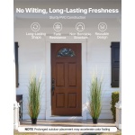 DPKLWHLS59IND2ABK001V0 gallery 2