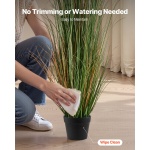 DPKLWHLS59IND2ABK001V0 gallery 3