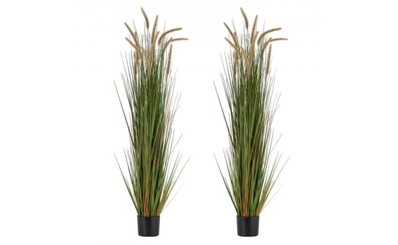 DPKMWCLS59INN4HXO001V0