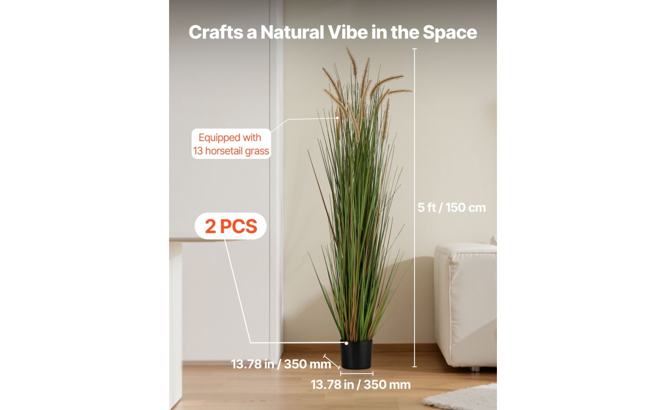 DPKMWCLS59INN4HXO001V0 gallery 0