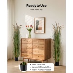 DPKMWCLS59INN4HXO001V0 gallery 4