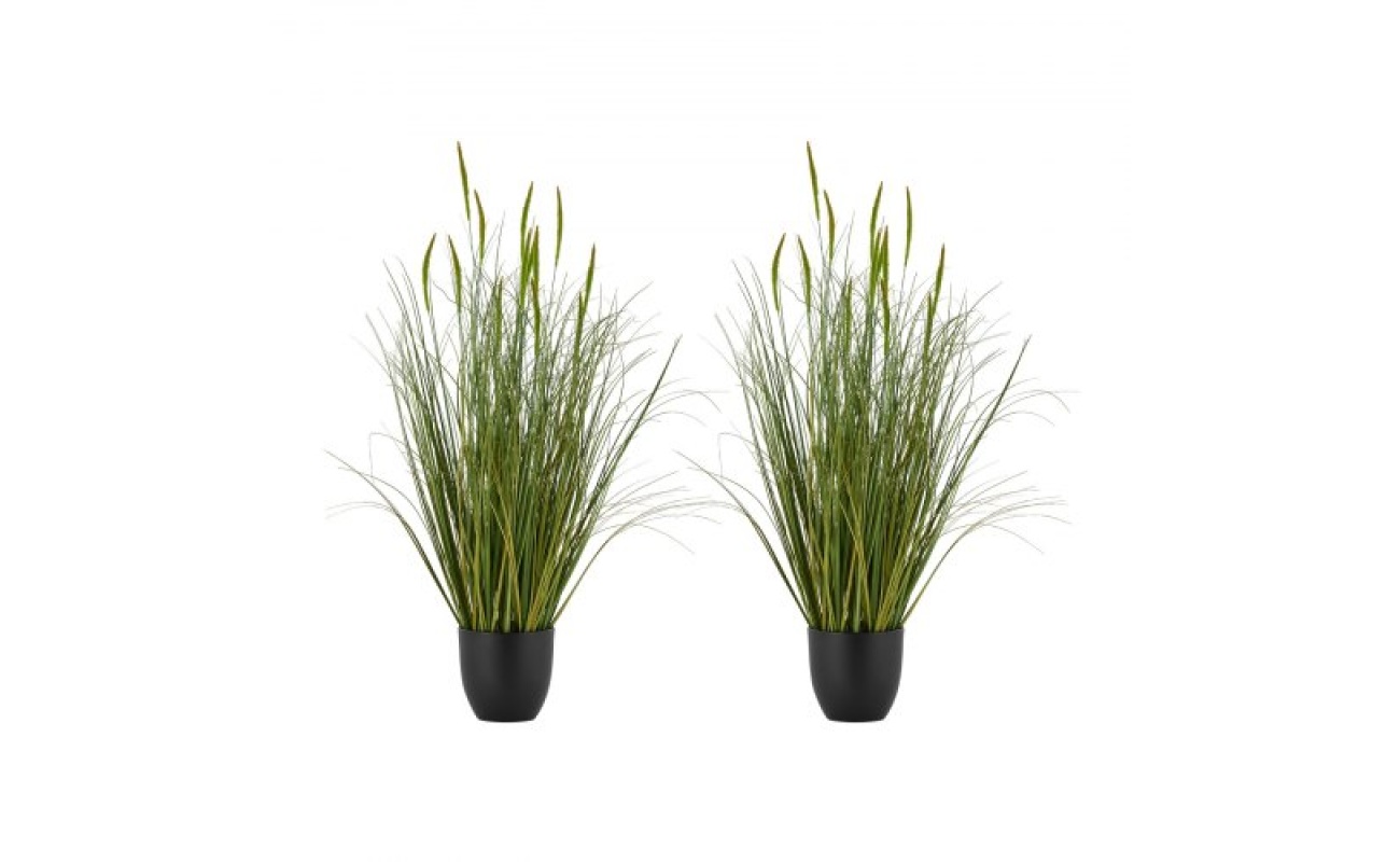 DPKXPLWCLS35CCHPH001V0