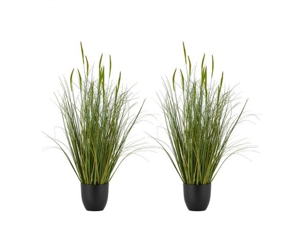 DPKXPLWCLS35CCHPH001V0